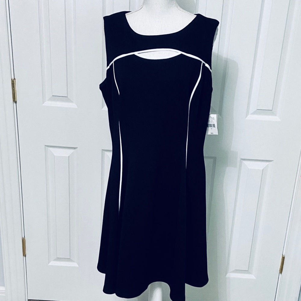 NWT Danny and Nicole Dress